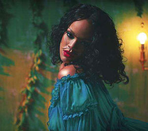 欢乐的养鸡场（二胡独奏）音乐简谱